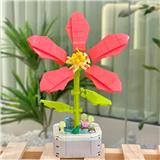 OBL10170521 - 紫荆花