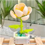 OBL10170525 - 山茶花