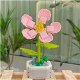OBL10170528 - 桃花
