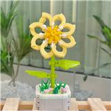 OBL10170534 - 迎春花