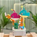 OBL10170546 - 灯笼鱼盆栽
