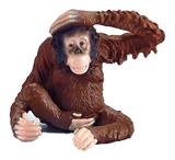 OBL10191014 - 狒狒
/模型静态