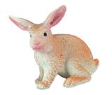 OBL10191057 - 大兔子
/模型静态