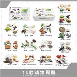 OBL10198352 - 成长周期彩盒包装 6款周期产品+6套卡片【任意6款自行搭配成一彩盒】