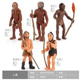 OBL10198367 - 人类进化史