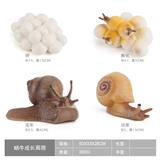OBL10198370 - 蜗牛成长周期1