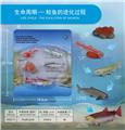OBL10198385 - 三文鱼成长周期