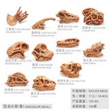OBL10198433 - 11只恐龙头骨 仿古色【三角龙+副栉龙+ 梁龙+ 窃蛋龙 +尼日尔龙 +腕龙 迅猛龙 +龙王龙+ 双脊龙+ 霸王龙 食肉牛龙】