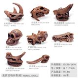OBL10198434 - 8只史前动物头骨 棕色【长毛犀牛+剑齿虎+埃及重脚兽+南猿+尤因它兽+凶齿豨+大角雷兽+乳齿象】