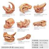 OBL10198435 - 8只史前动物头骨 仿古色【长毛犀牛+剑齿虎+埃及重脚兽+南猿+尤因它兽+凶齿豨+大角雷兽+乳齿象】