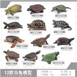 OBL10198504 - 12只名龟套装