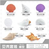 OBL10198505 - 贝壳8只套装
