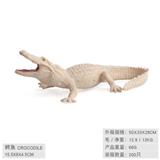 OBL10198516 - 鳄鱼