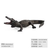 OBL10198518 - 鳄鱼
