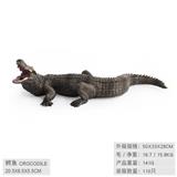 OBL10198519 - 鳄鱼
