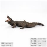 OBL10198522 - 鳄鱼