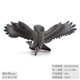 OBL10198523 - 猫头鹰