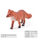 OBL10198528 - 行走红狐