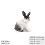 OBL10198529 - 家兔