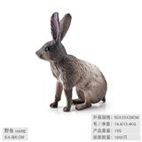 OBL10198532 - 野兔
