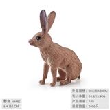 OBL10198533 - 野兔