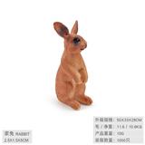 OBL10198538 - 家兔，站立