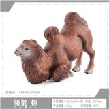 OBL10198558 - 棕骆驼