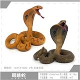 OBL10198575 - 眼镜蛇