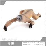 OBL10198576 - 树懒