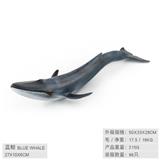 OBL10198584 - 蓝鲸