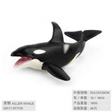 OBL10198587 - 虎鲸