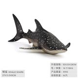 OBL10198588 - 虎鲨