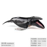 OBL10198590 - 座头鲸