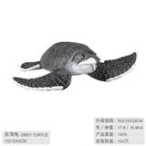 OBL10198593 - 灰海龟