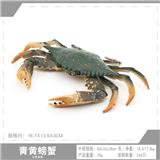 OBL10198598 - 青黄螃蟹