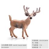 OBL10198600 - 公白尾鹿（光面）