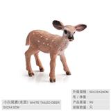 OBL10198602 - 小白尾鹿（光面）