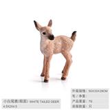 OBL10198605 - 小白尾鹿（粗面）