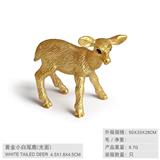 OBL10198608 - 黄金小白尾鹿（光面）