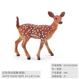OBL10198616 - 红色母白尾鹿（粗面）