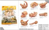 OBL10198712 - 8只史前动物头骨 仿古色【长毛犀牛+剑齿虎+埃及重脚兽+南猿+尤因它兽+凶齿豨+大角雷兽+乳齿象】