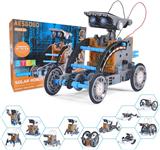 OBL10204113 - Electric robot