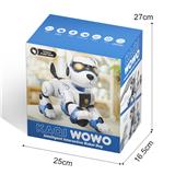 OBL10223271 - Remote control robot