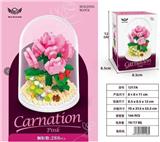 OBL10226309 - 康乃馨