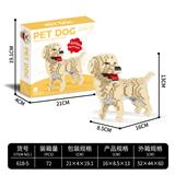 OBL10232365 - 金毛