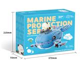 OBL10232543 - 【IP授权萌二系列】
海洋生物鲸鱼