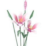 OBL10243386 - 伴糖