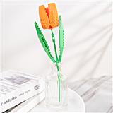 OBL10243389 - 郁金香
（落日橘）