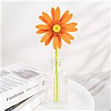 OBL10243415 - 非洲菊
（落日橘）