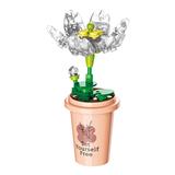 OBL10243419 - 奶茶杯山荷花